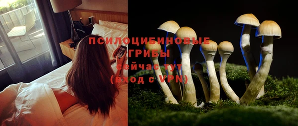 мдма Новокубанск