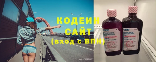 амф Новозыбков