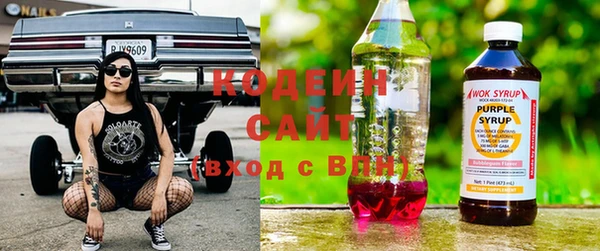 амф Новозыбков