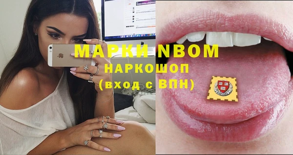 амф Новозыбков