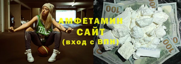 амф Новозыбков