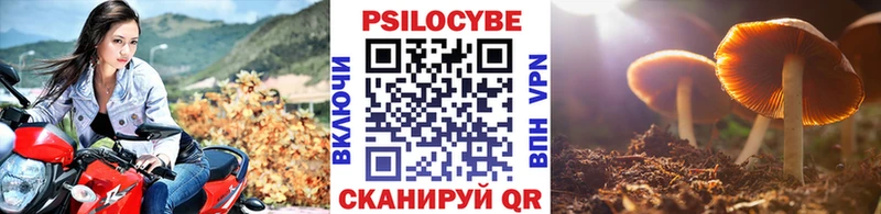 Псилоцибиновые грибы Cubensis  купить наркоту  Нерчинск 